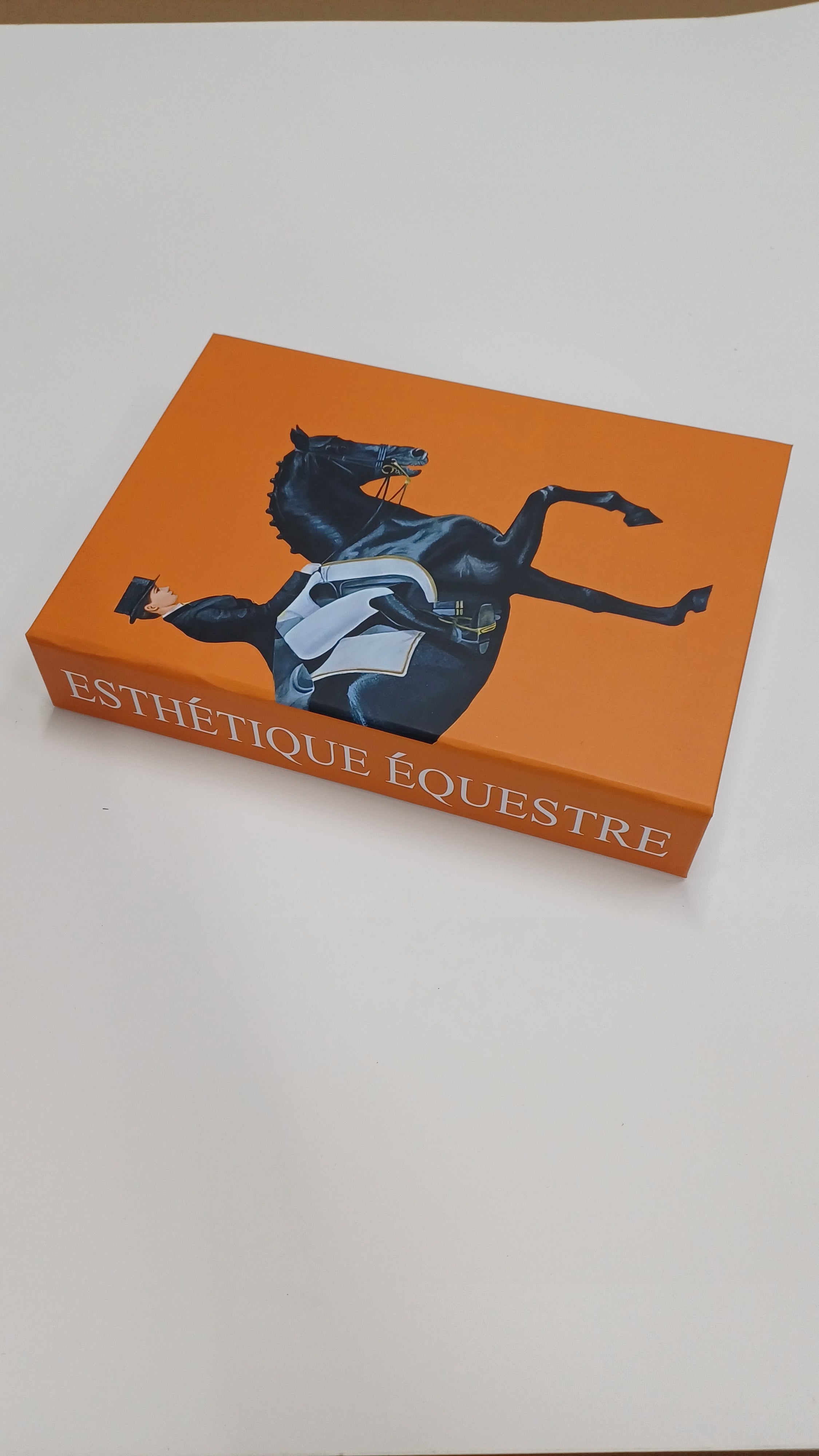 566 ESTHETIQUE EQUESTRE dekoratif kitap kutusu