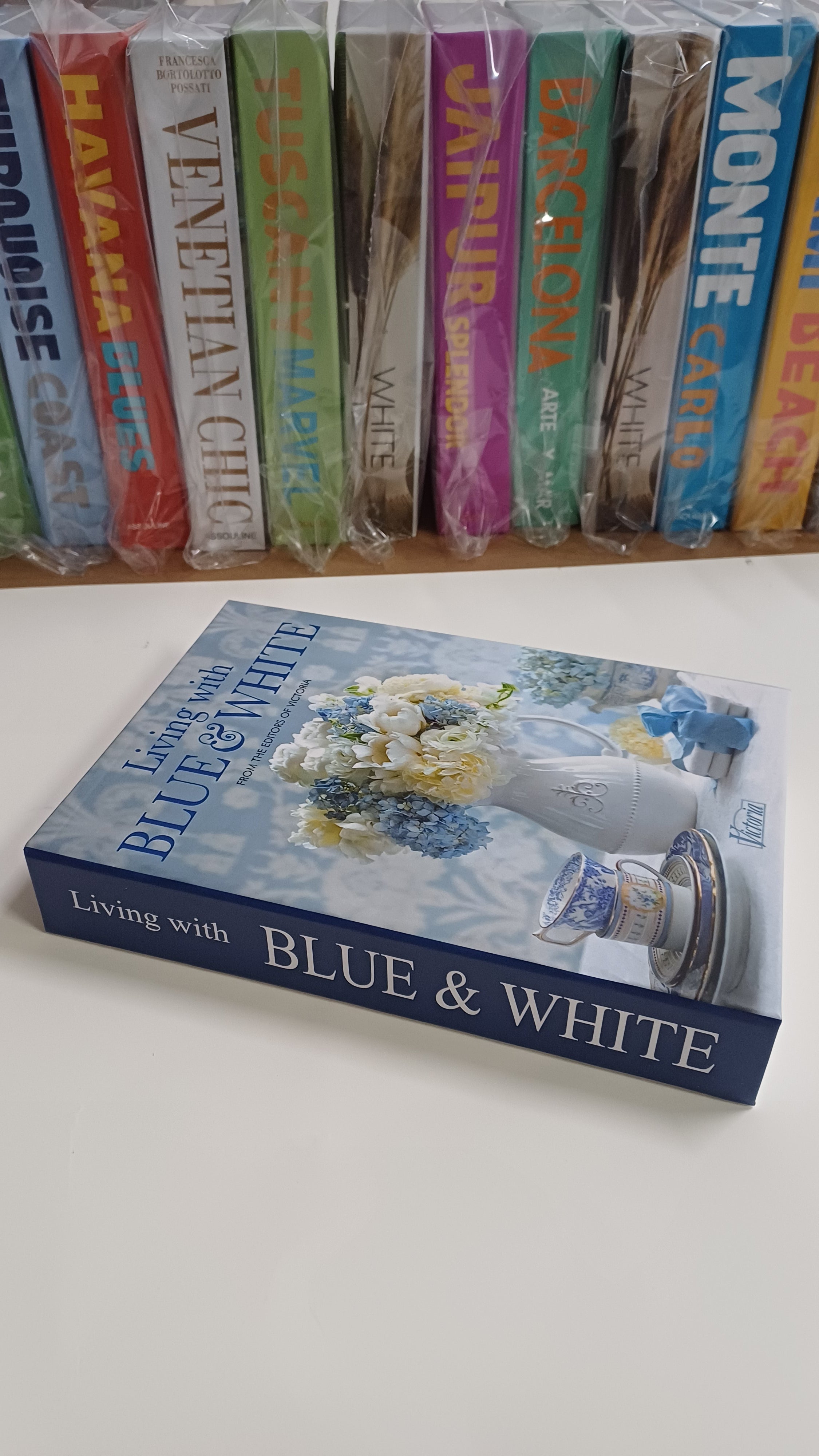 640 BLUE & WHITE dekoratif kitap kutusu