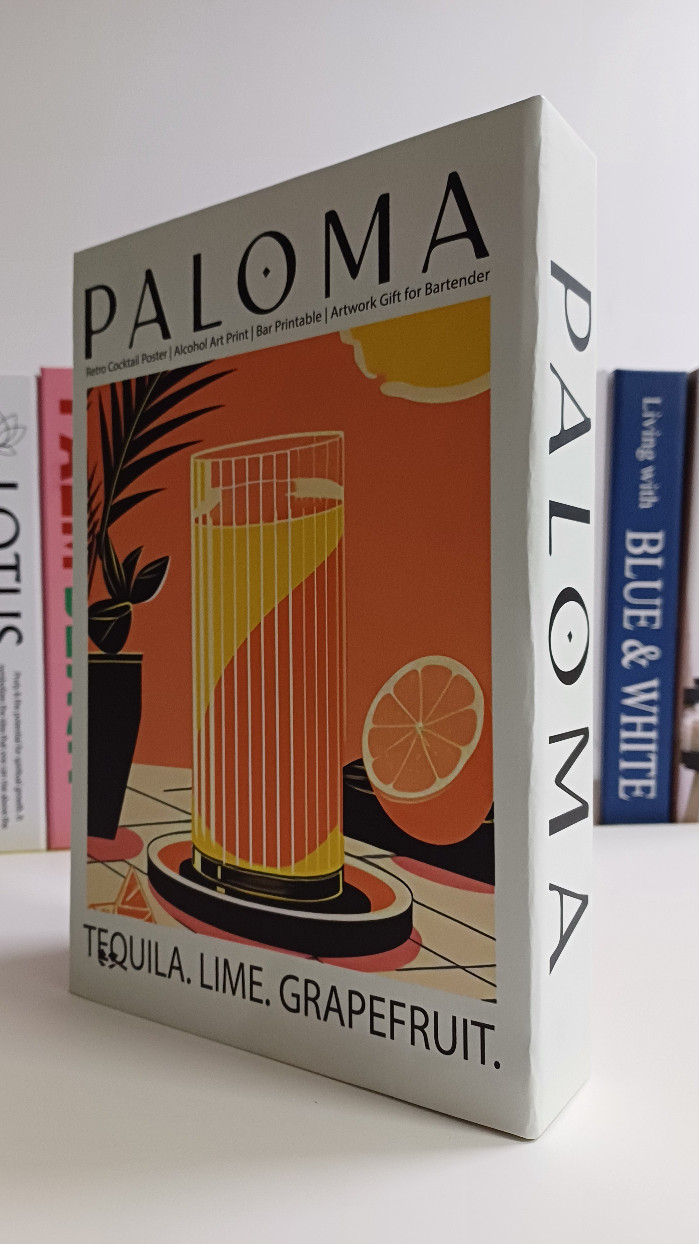 645 PALOMA dekoratif kitap kutusu