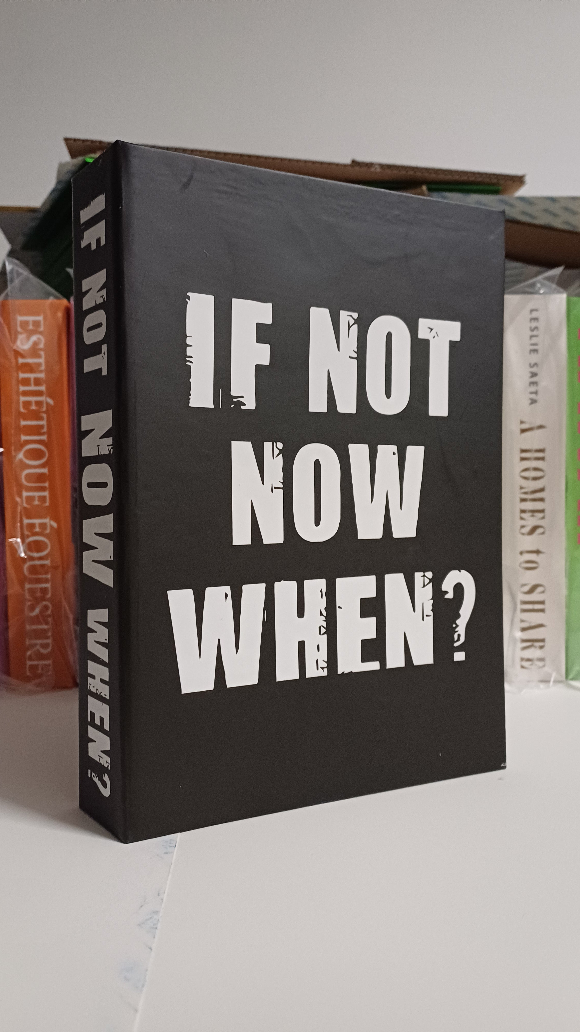 615 IF NOT NOW WHEN? dekoratif kitap kutusu