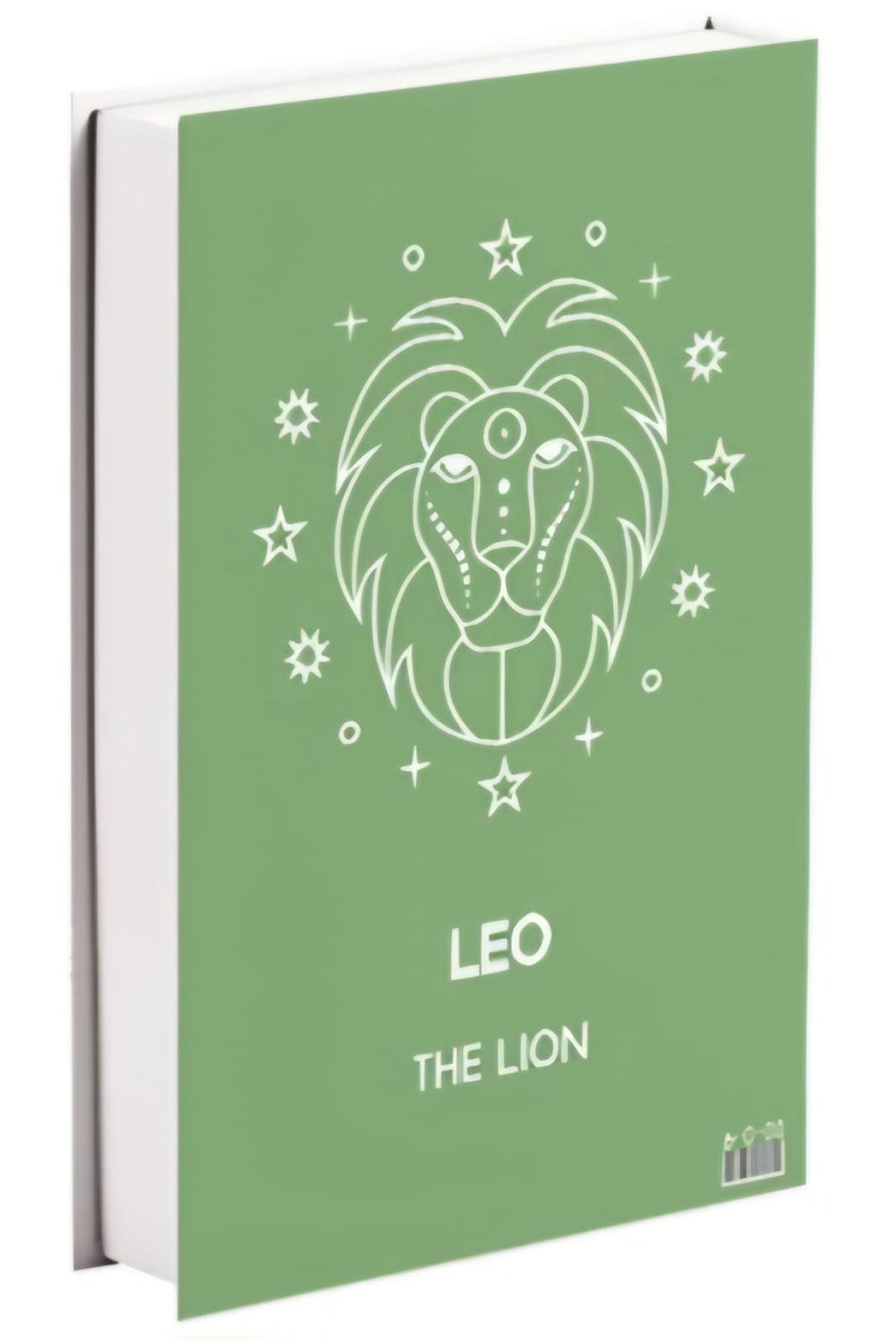 517 LEO THE LION dekoratif kitap kutusu