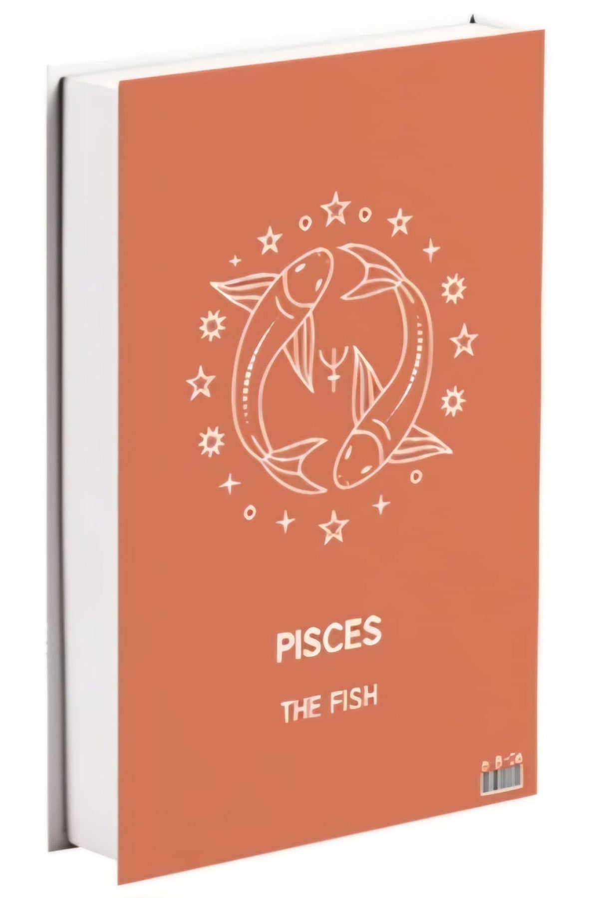 519 PISCES dekoratif kitap kutusu