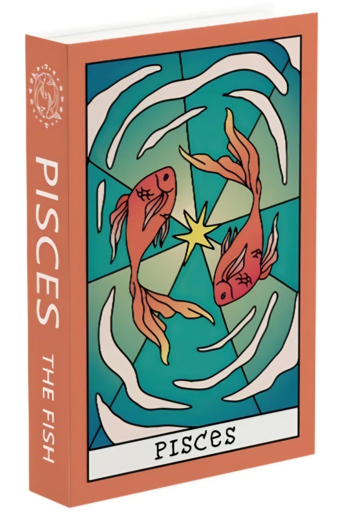 519 PISCES dekoratif kitap kutusu