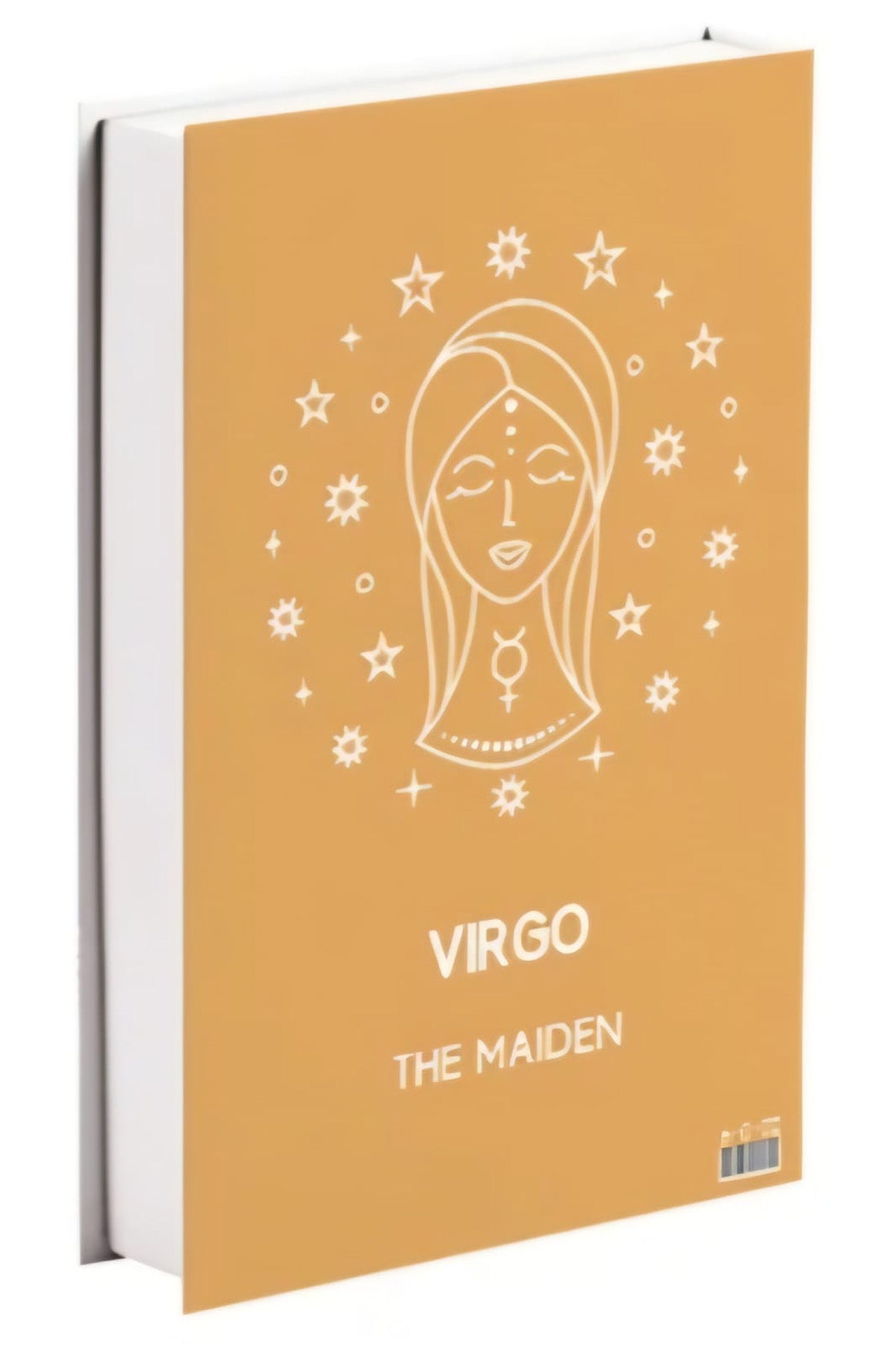 523 VIRGO dekoratif kitap kutusu