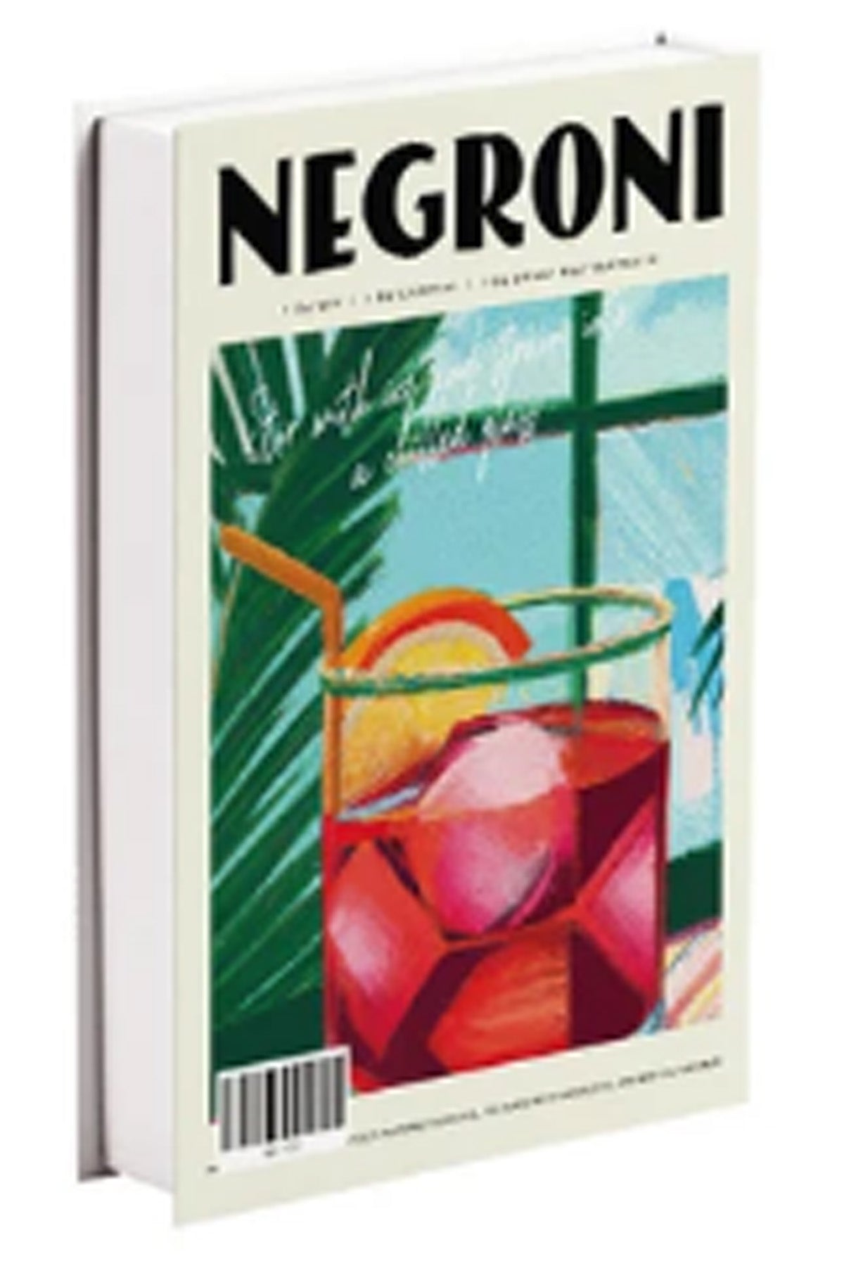 548 NEGRONI dekoratif kitap kutusu