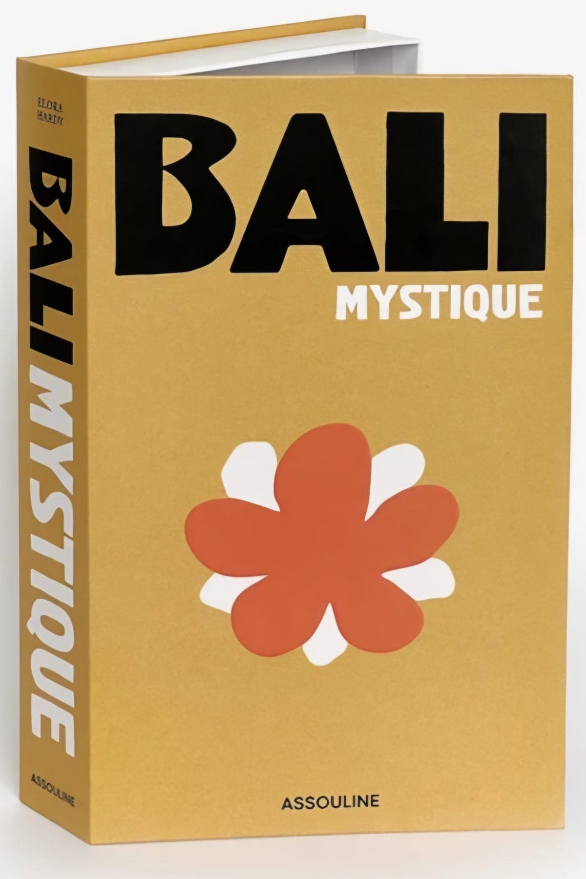 582 BALI MYSTIQUE dekoratif kitap kutusu