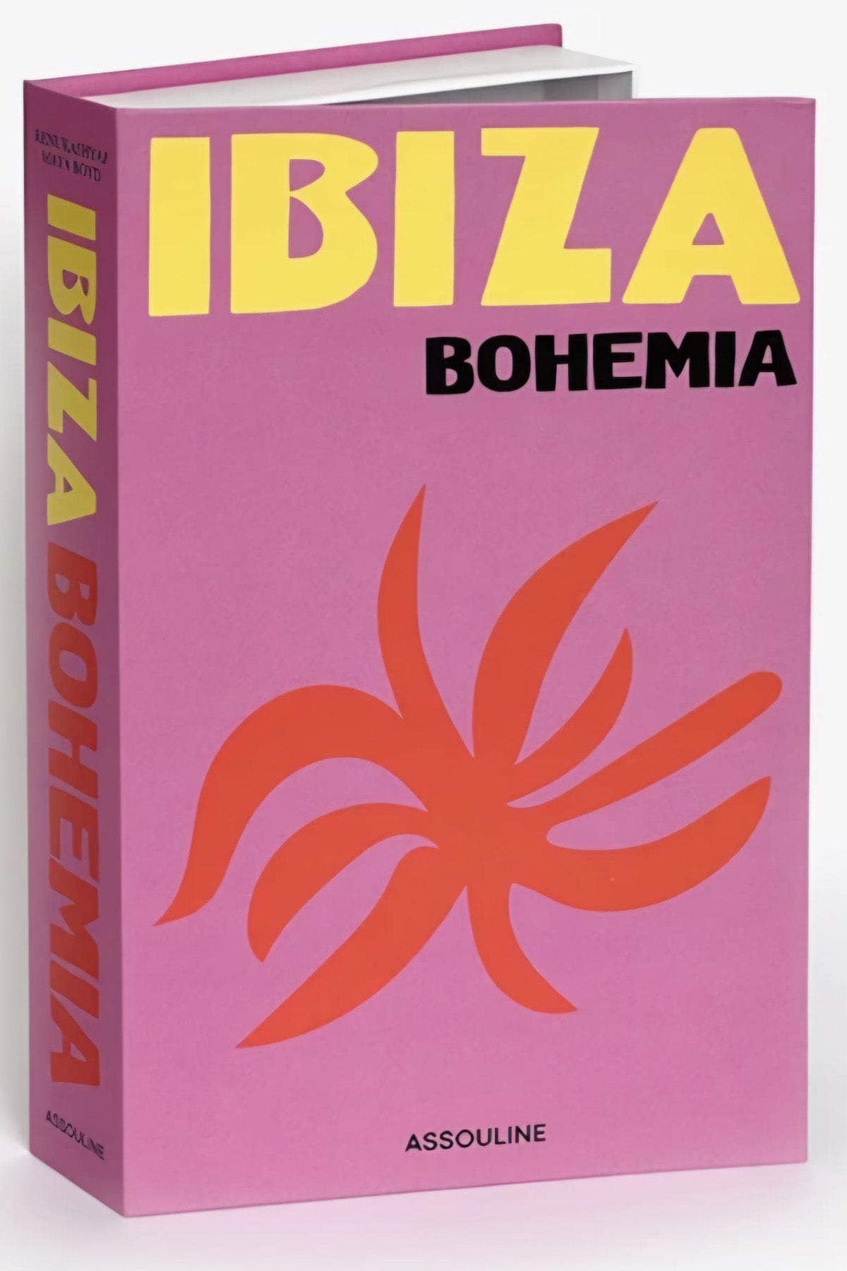 585 IBIZA BOHEMIA dekoratif kitap kutusu